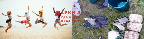 прущие грибы Алексеевка