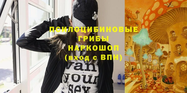 дмт Алзамай