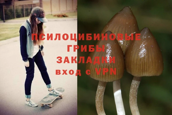 соль ск Алексин