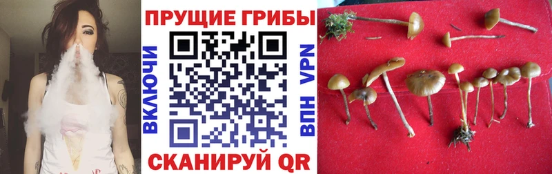 Галлюциногенные грибы ЛСД  Когалым 