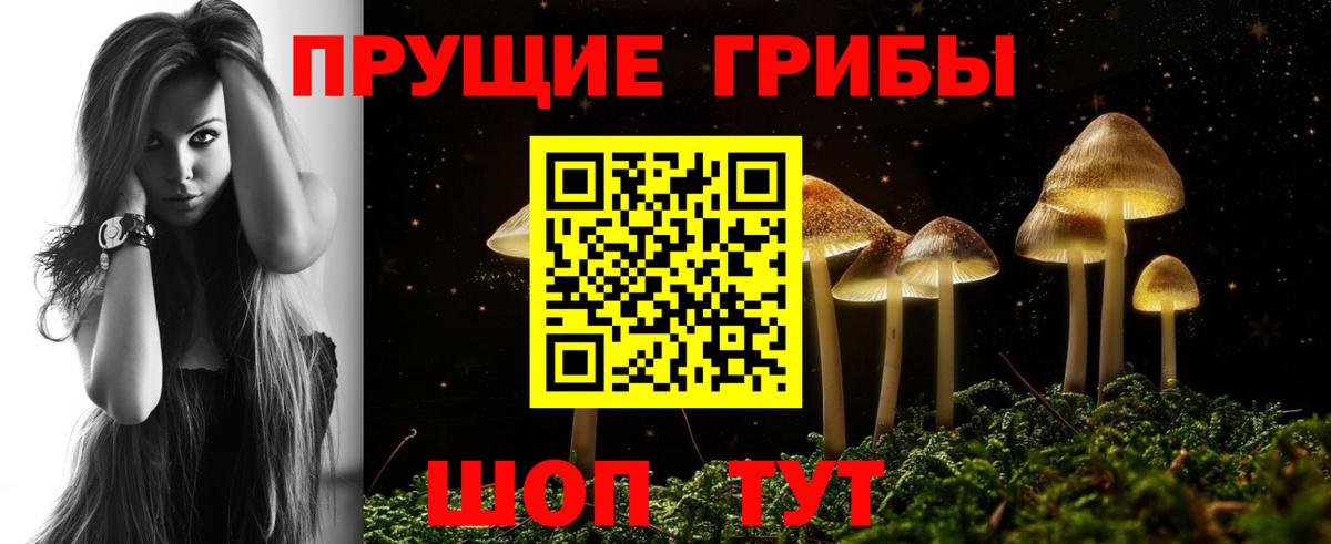 Псилоцибиновые грибы мицелий  Вход с VPN  Когалым 